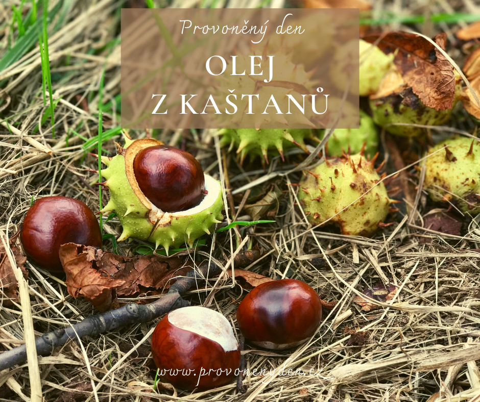 olej z kastanu 3